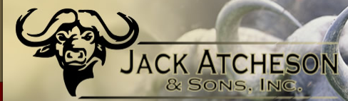 Jack Atcheson & Sons, Inc.